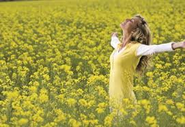 eco friendly flooring harmonize with nature eco friendly flooring harmonize with nature